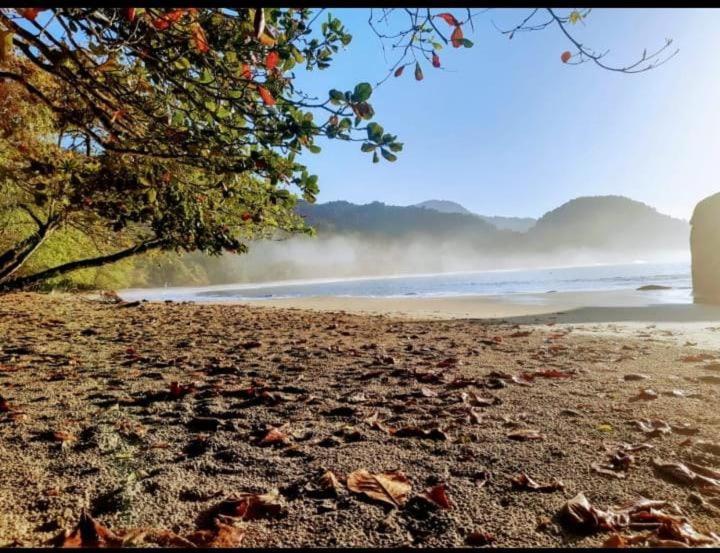 Flats Do Felix Ubatuba
